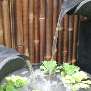 Double Wave Fountain